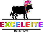 Exceleite